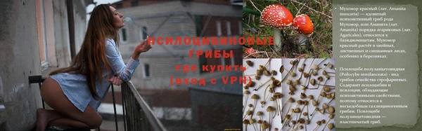 ALPHA-PVP Алексин